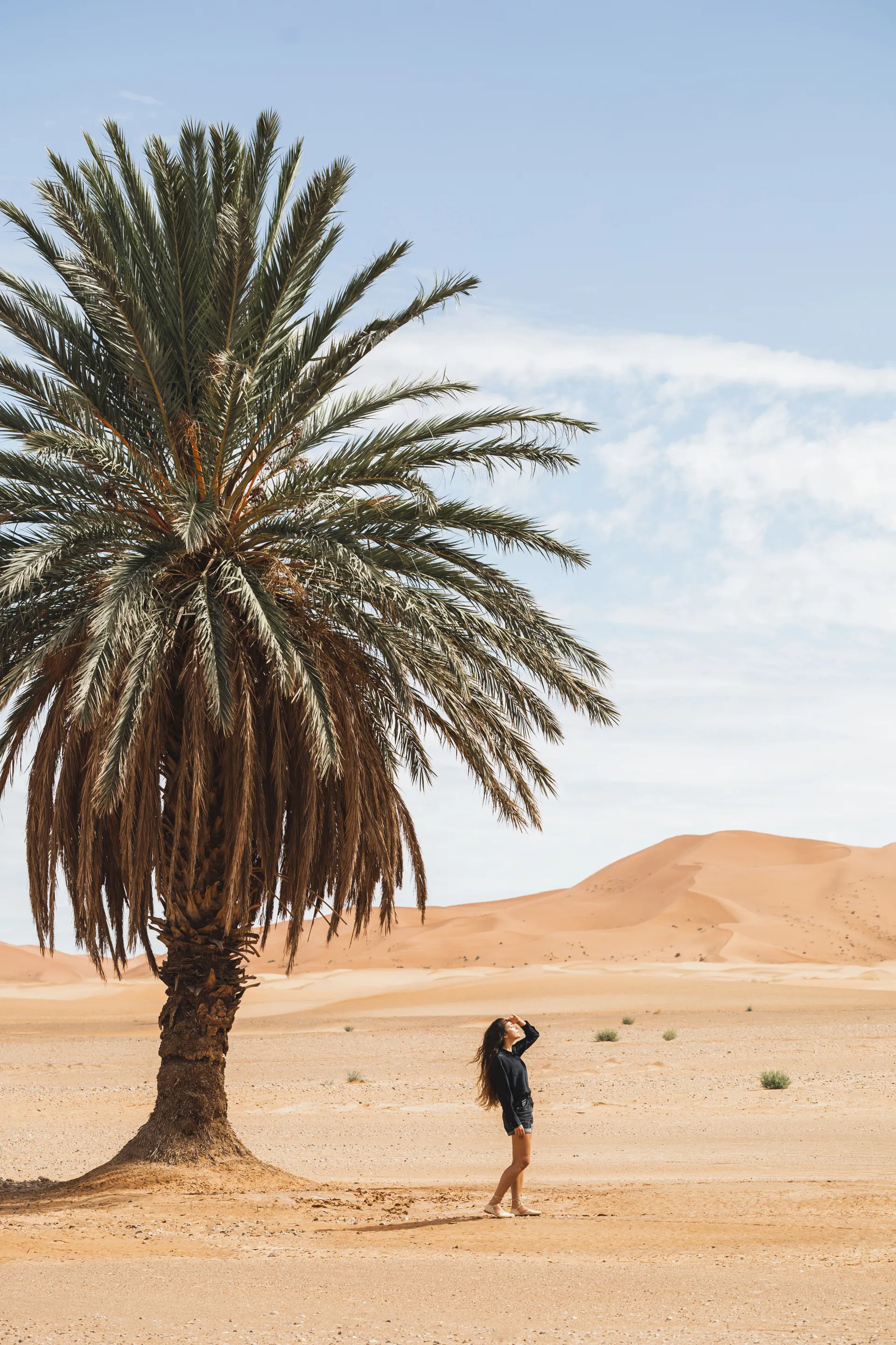 60 Günlük Çok Girişli Dubai Vizesi